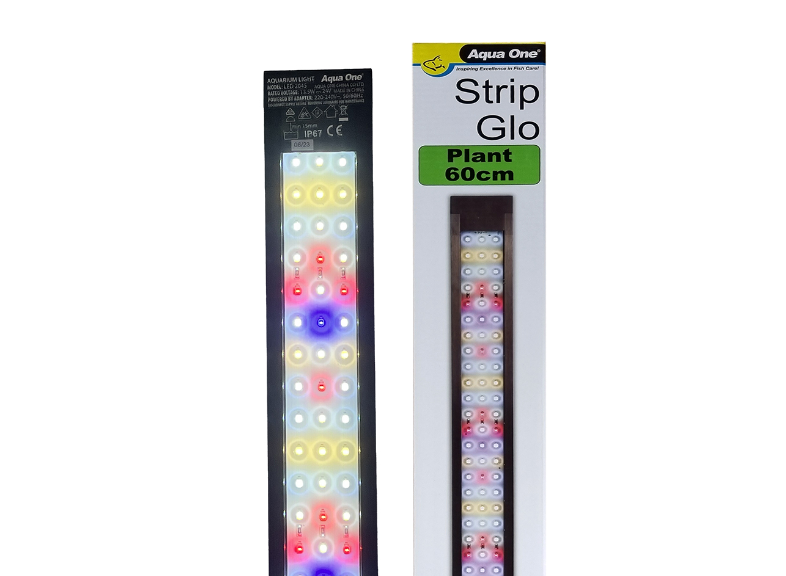 Screenshot 2026-03-07 174038