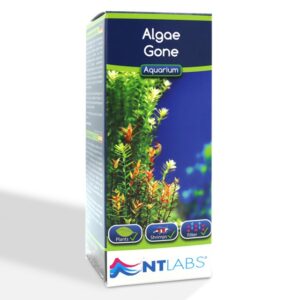 Algae Gone