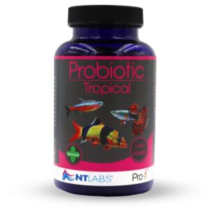 Probiotic Tropical