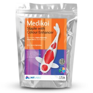 Medikoi