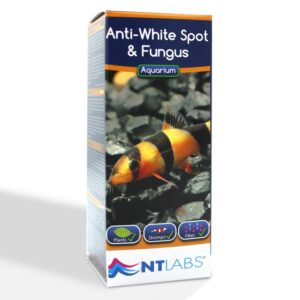 * Anti-White Spot And Fungus