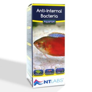 Anti-Internal Bacteria