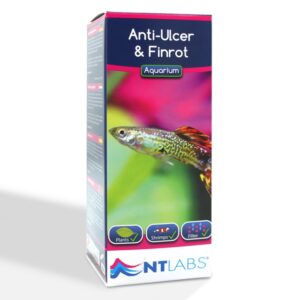 * Anti-Ulcer And Fin Rot